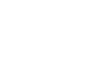 terzzibd.com